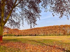 -河南省黄河迎宾馆