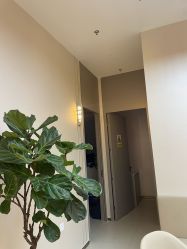 -小忠丽格医美