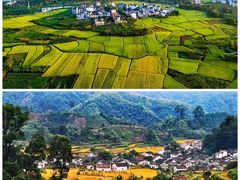 -婺源风景区