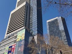 -金茂览秀城