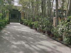 -艾提尕尔清真寺