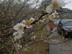 -广州市流溪河国家森林公园
