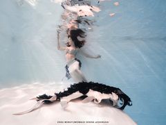 -上海潜殿潜水中心