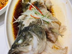 清蒸海鲈鱼-刘胖子家常菜·蹄花焖藕(中南店)