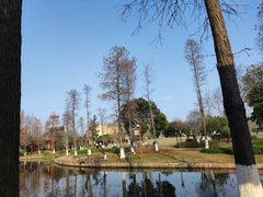 -河泥荡文化公园