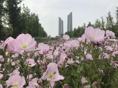 -南京眼步行桥