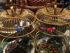 -山芋腔苏北菜(盐城滨海店)