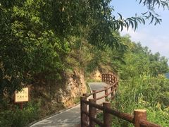 -羚羊峡古栈道森林公园