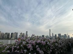 -丹东路渡口(轮渡站)