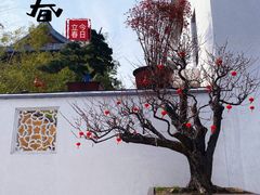 -龙华寺