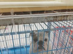 -山东柏宁水族批发广场