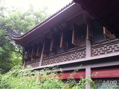-十八棵（老龙井）御茶园(老龙井店)