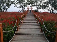 -羊亭河湿地公园