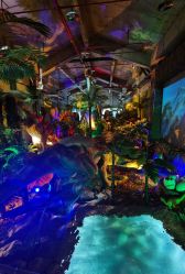 -恐龙探索乐园(磁器口店)