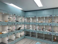 -萌宠之家·腊肠犬·马尔泰·小体犬舍