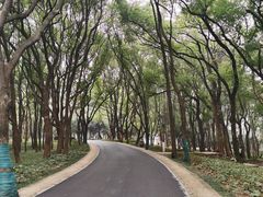 -东湖落雁景区