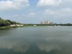 -大兴滨河森林公园