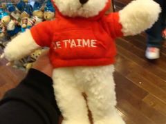 -济州岛泰迪熊博物馆