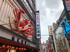 -蟹道乐(道顿堀本店)