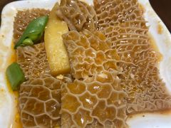-点都德·毕德寮