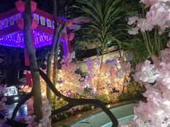 -海口观澜湖火山温泉谷