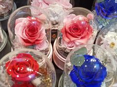 -谷莠子花艺·气球派对·绿植造景·花艺沙龙(金光华广场店)