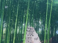 -陈家山荷花公园