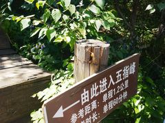 -白草畔自然风景区