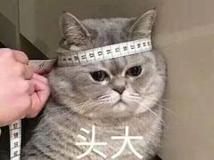 -徐妹串串香(春熙路店)