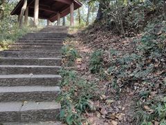 -西湖风景区十里琅珰-五云山