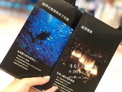 -迪拜水族馆及水下动物园