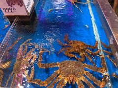 -盒马X会员店(王府井奥莱UP TOWN店)