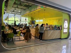 -油梨树AVOCADO TREE(望京店)
