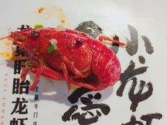 -龙巢盱眙龙虾·牛蛙·烧烤宵夜(八卦岭店)