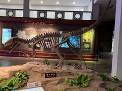-自贡恐龙博物馆