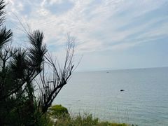-养马岛旅游度假区