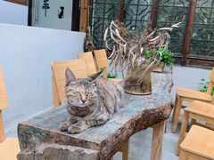 -猫的天空之城概念书店(苏州平江店)