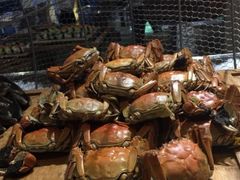 -常州富力喜来登酒店 Feast盛宴标帜西餐厅(新北万达广场店)