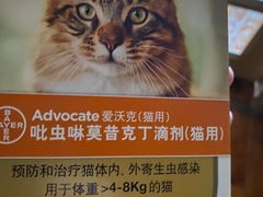 -宠爱国际动物医院·疑难骨科·心肾内科·皮肤科(太阳宫店)