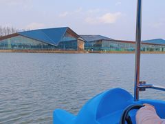 -上海长兴岛郊野公园