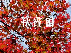 -秋霞圃
