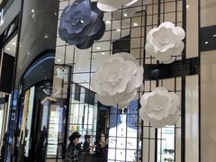-CHANEL(ifs国际金融店)