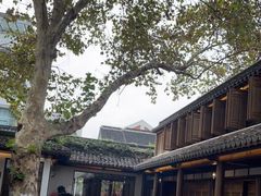 -鲤院·新中式美学·庭院餐厅(夫子庙店)