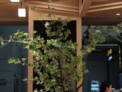 -味千拉面(广州白云机场T1西二店)