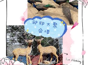 夏日溜娃，快来万达亲子动物乐园吧
