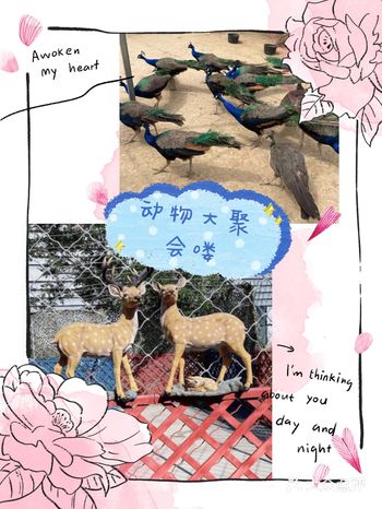 夏日溜娃，快来万达亲子动物乐园吧