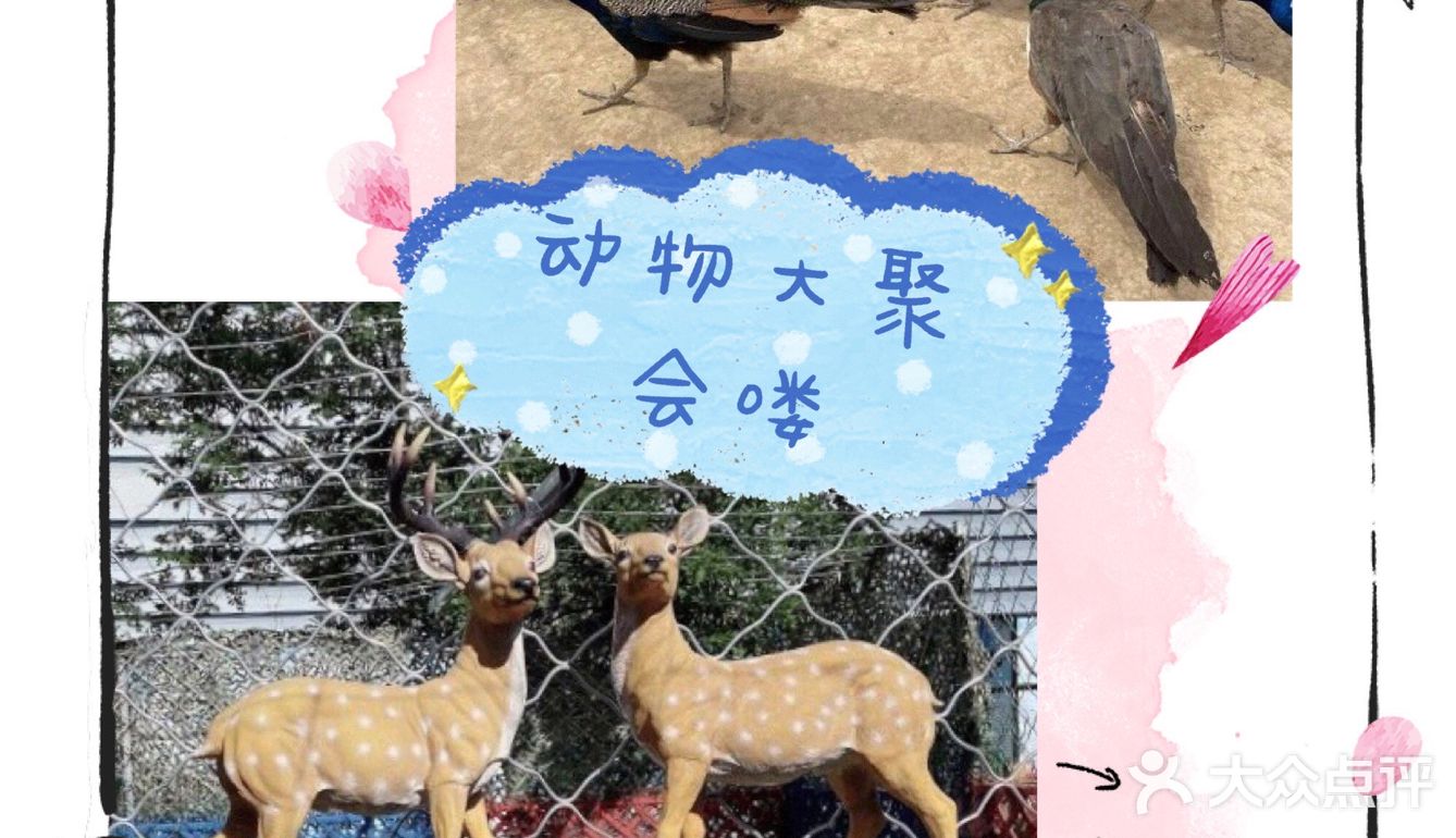 夏日溜娃，快来万达亲子动物乐园吧