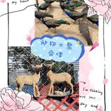 夏日溜娃，快来万达亲子动物乐园吧