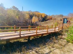 -塞罕坝国家级自然保护区