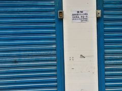 -秦豫肉夹馍(东羊市店)